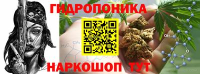 apvp Заводоуковск