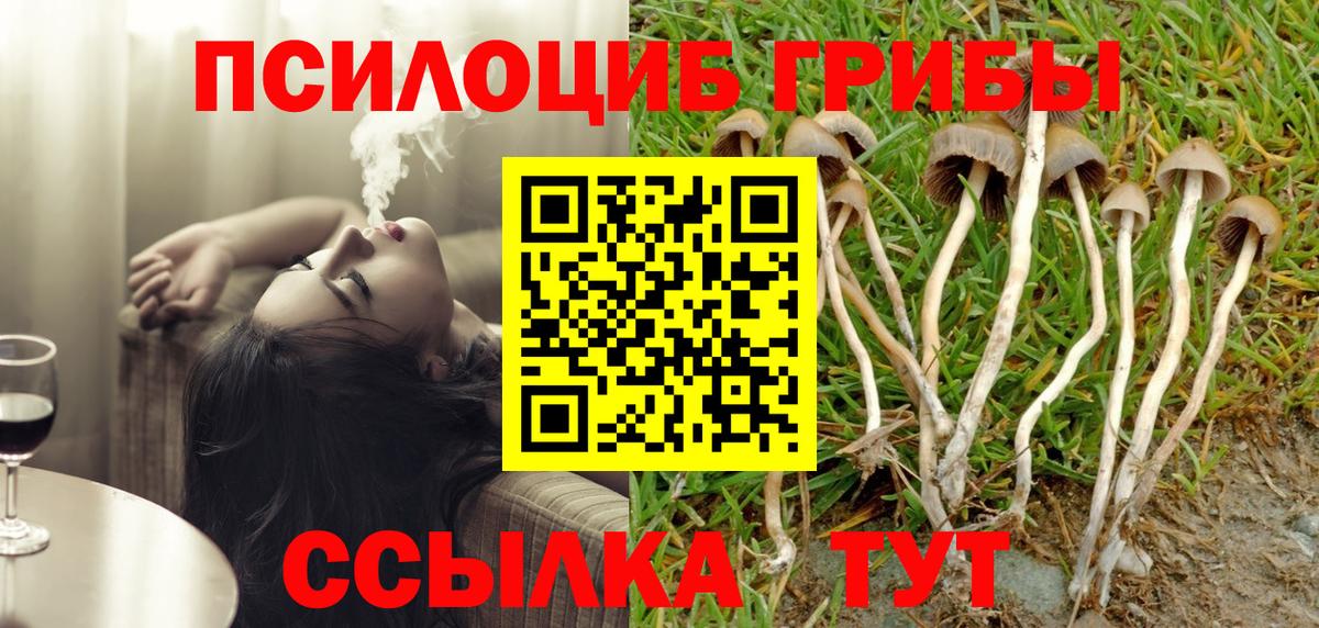 Галлюциногенные грибы Cubensis Елец