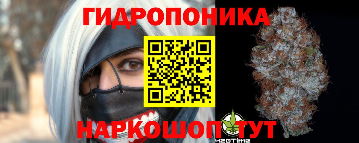 Бошки марихуана THC 21%  Канабис Amnesia  Марихуана план  Елец  Вход с VPN 